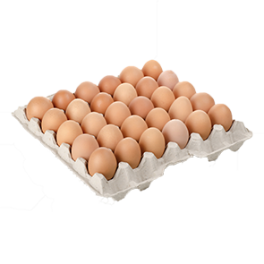 Yumurta
