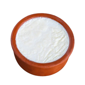 Yoğurt